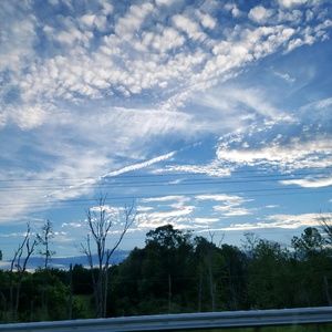 Meet your Posher, Regan